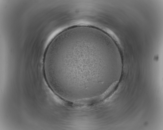 X0000091961183200709131220