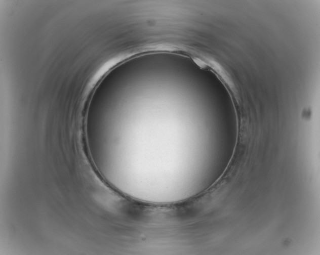 X0000091961187200709131220