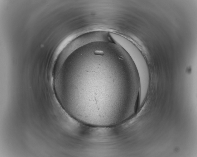 X0000091961188200709131220