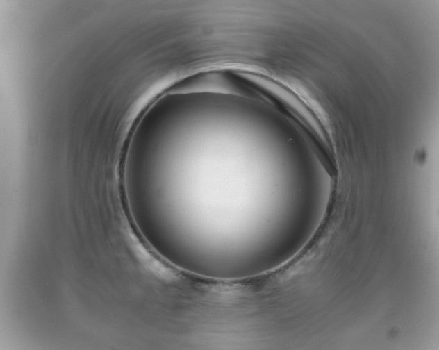 X0000091961189200709131220