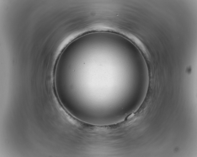 X0000091961191200709131220