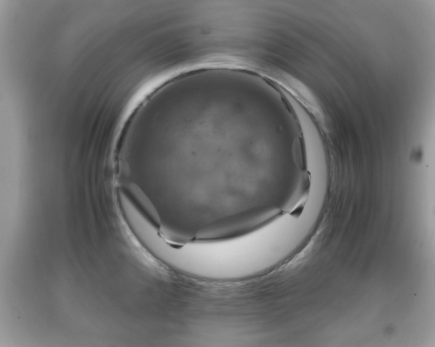 X0000091961192200709131220