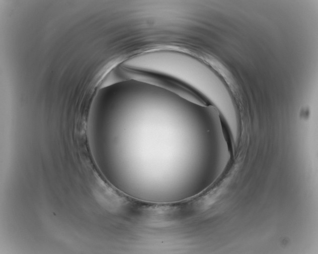 X0000091961193200709131220