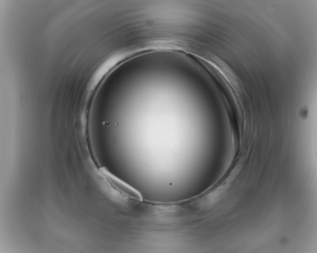 X0000091961196200709131220