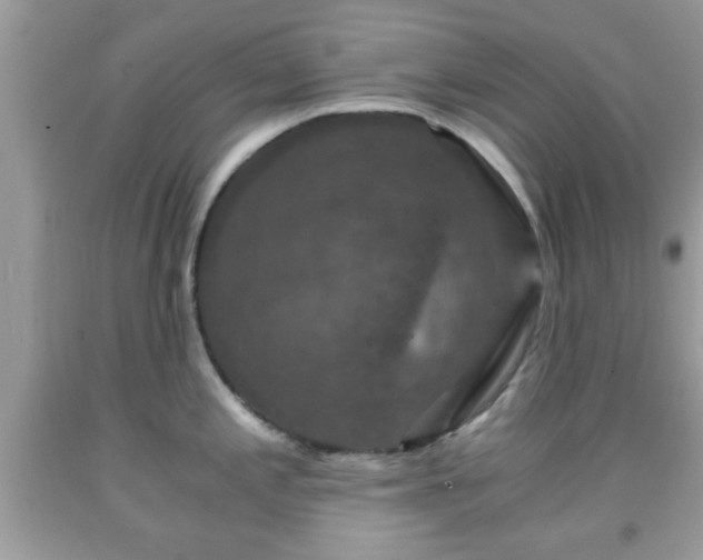 X0000091961197200709131220