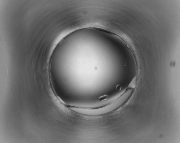 X0000091961200200709131220