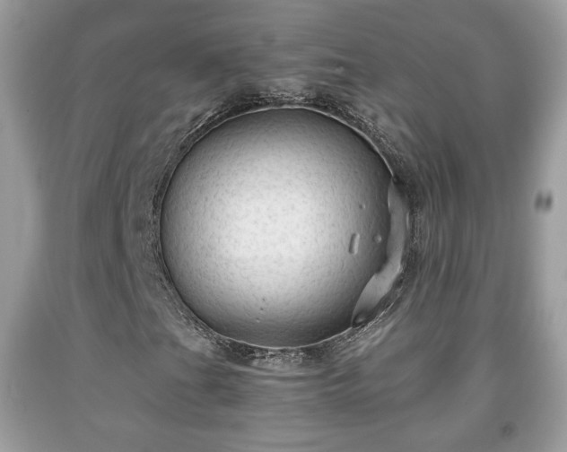 X0000091961201200709131219