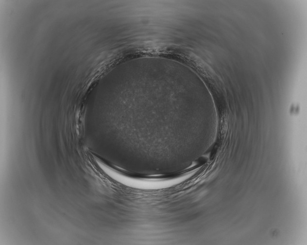 X0000091961202200709131219