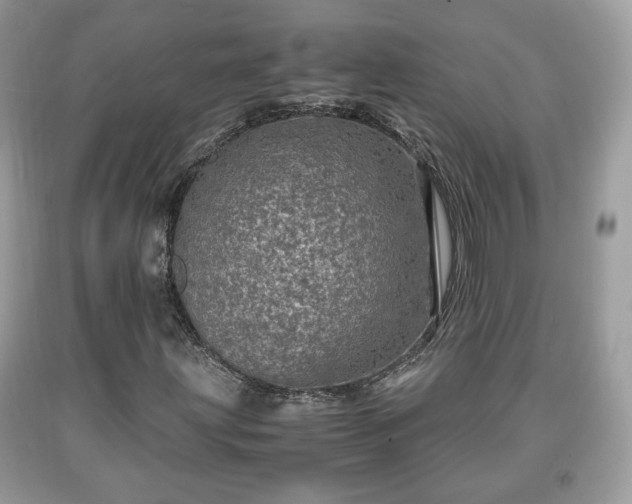 X0000091961203200709131219