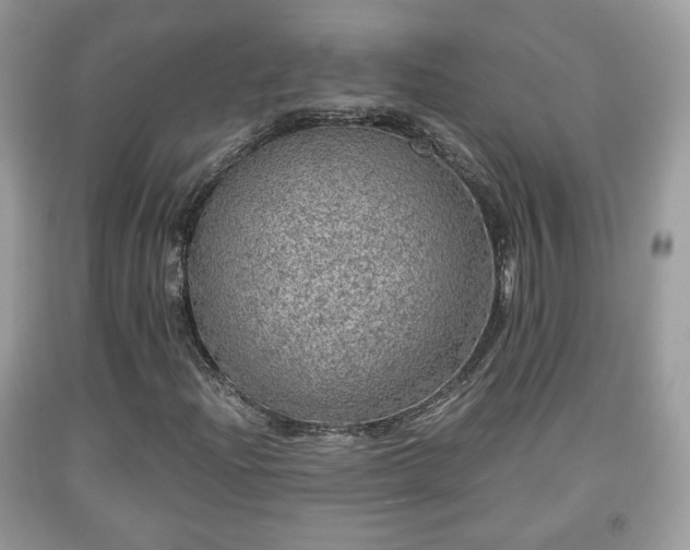 X0000091961204200709131219