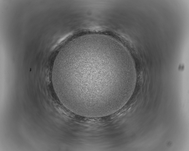 X0000091961205200709131219