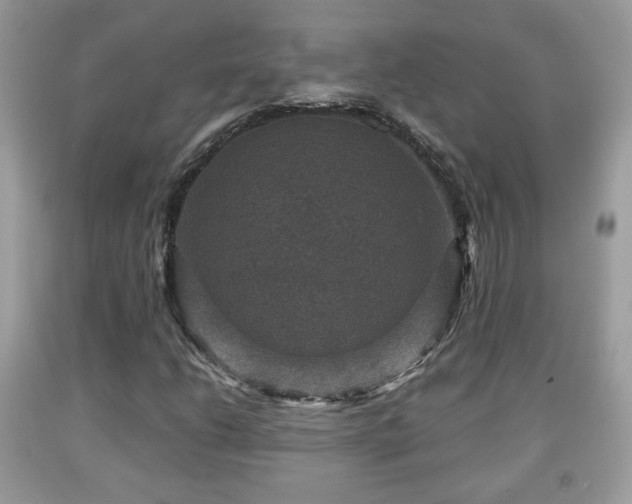 X0000091961206200709131219