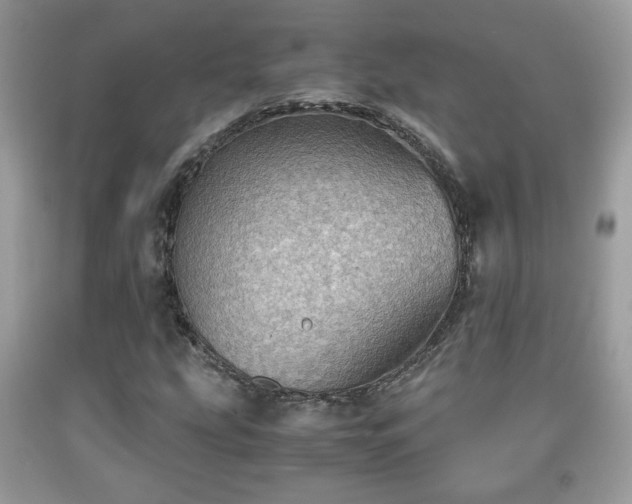 X0000091961207200709131219