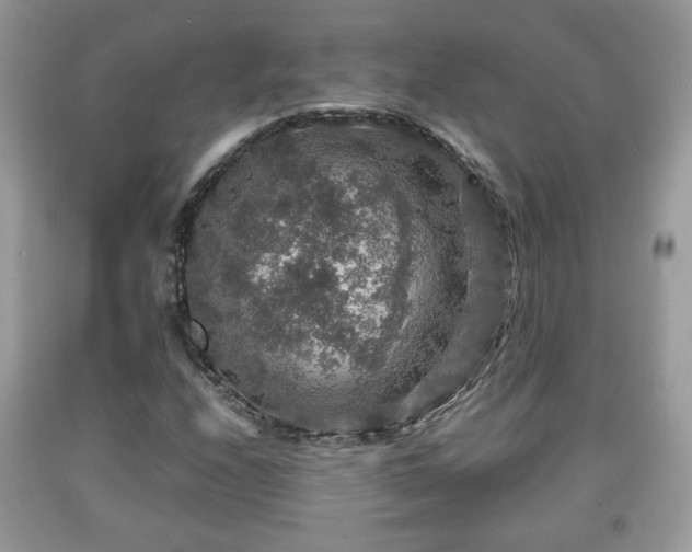 X0000091961208200709131219