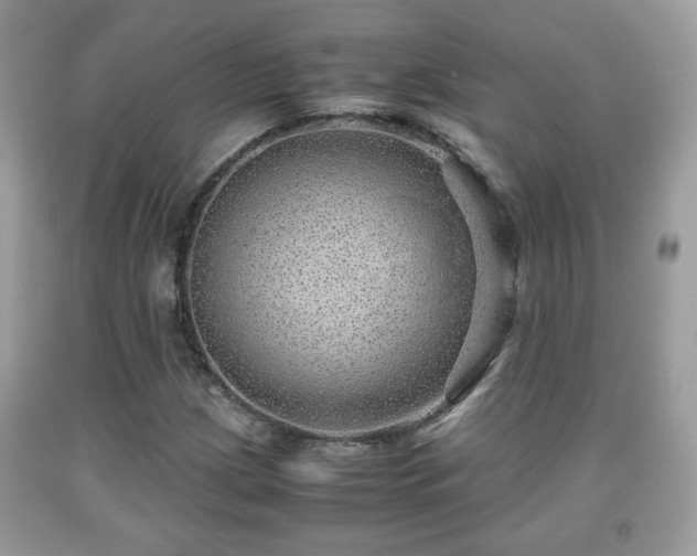 X0000091961209200709131219