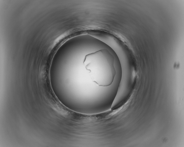 X0000091961210200709131219