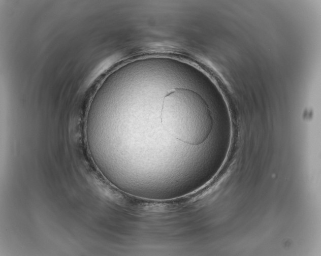 X0000091961211200709131219