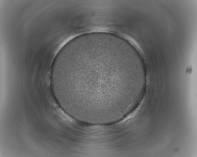 X0000091961212200709131219