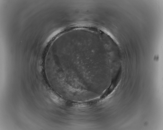 X0000091961213200709131219