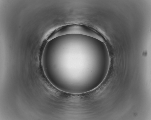 X0000091961214200709131219