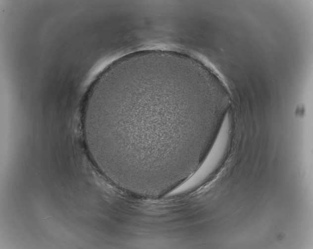 X0000091961215200709131219