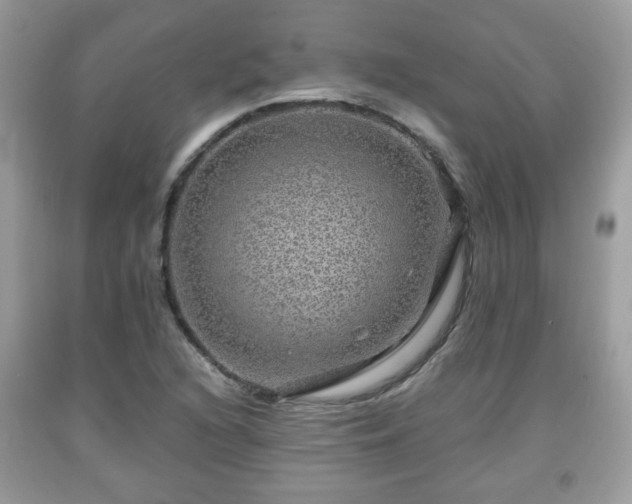 X0000091961216200709131219