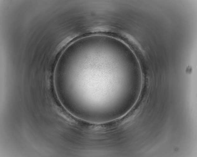 X0000091961217200709131219