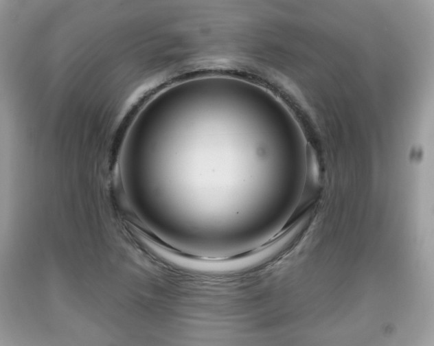 X0000091961218200709131219