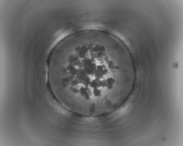 X0000091961219200709131219