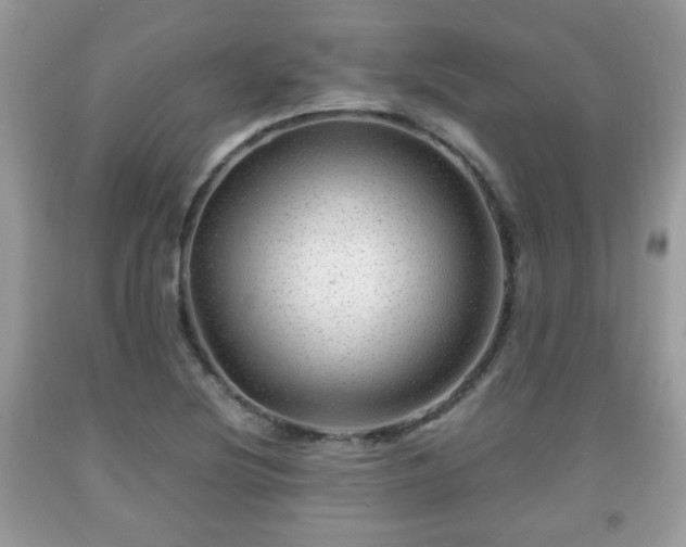 X0000091961220200709131219