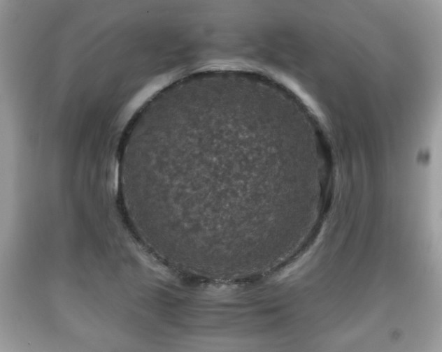 X0000091961221200709131219