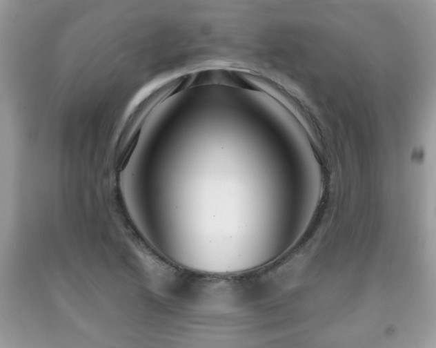 X0000091961222200709131219