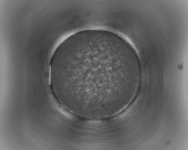 X0000091961223200709131219