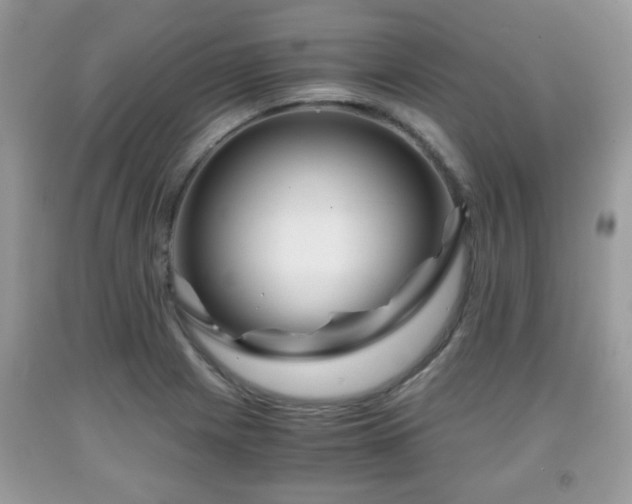 X0000091961225200709131219