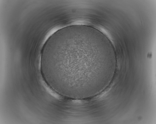 X0000091961227200709131220