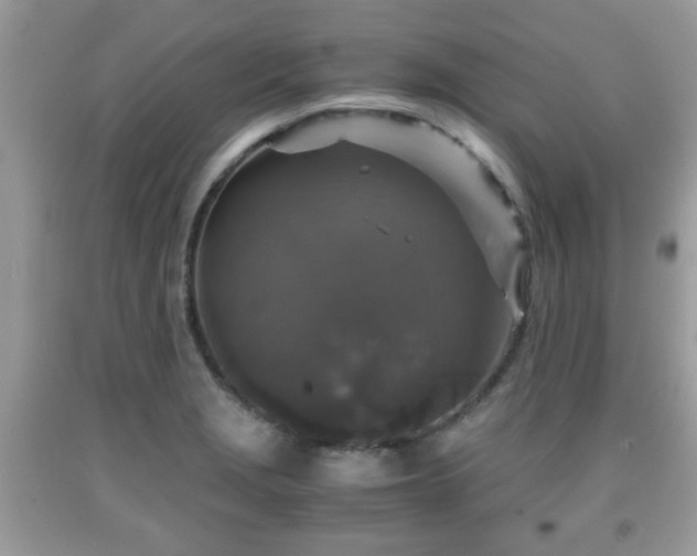 X0000091961229200709131220