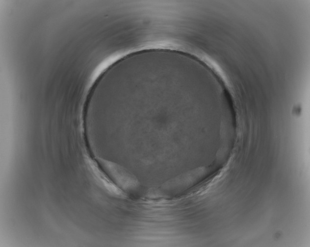 X0000091961230200709131220