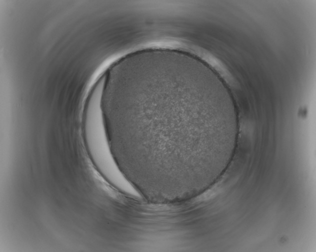 X0000091961232200709131220