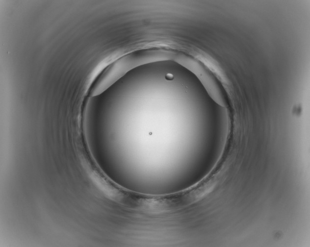 X0000091961234200709131220