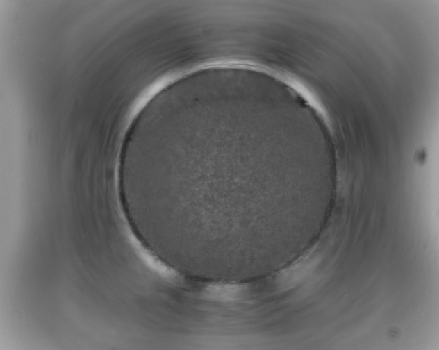 X0000091961237200709131220