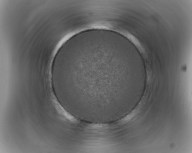 X0000091961240200709131220