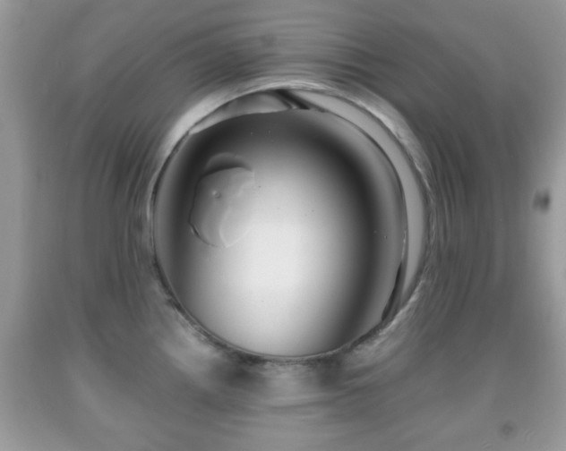 X0000091961242200709131220