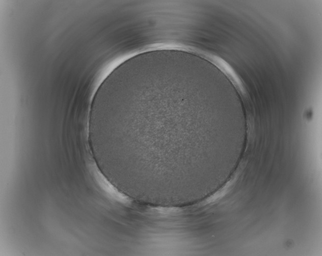 X0000091961244200709131220