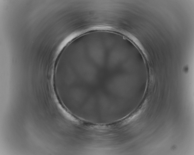 X0000091961245200709131220