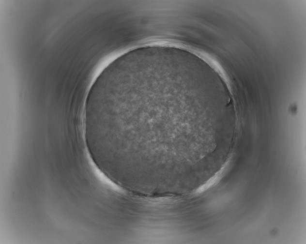 X0000091961247200709131220