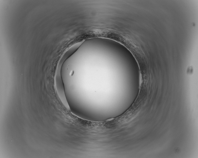 X0000091961249200709131219