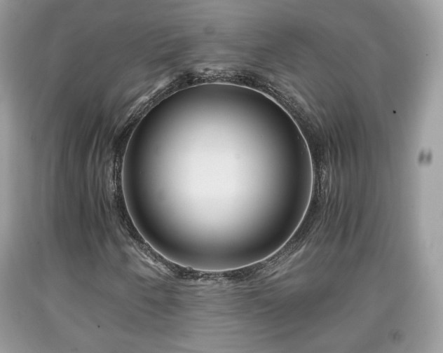 X0000091961250200709131219