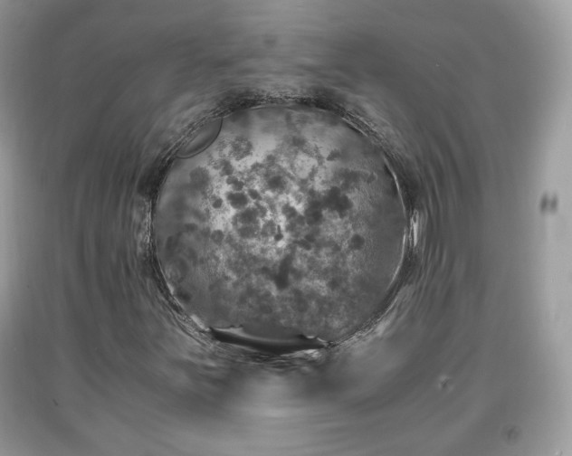 X0000091961251200709131219