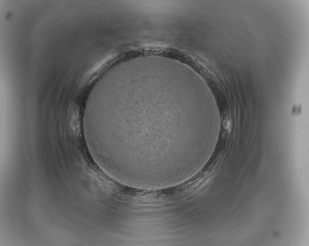 X0000091961252200709131219