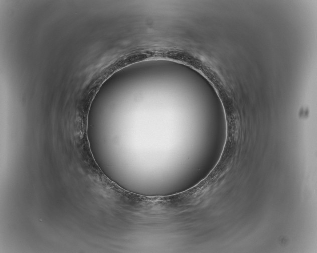 X0000091961253200709131219